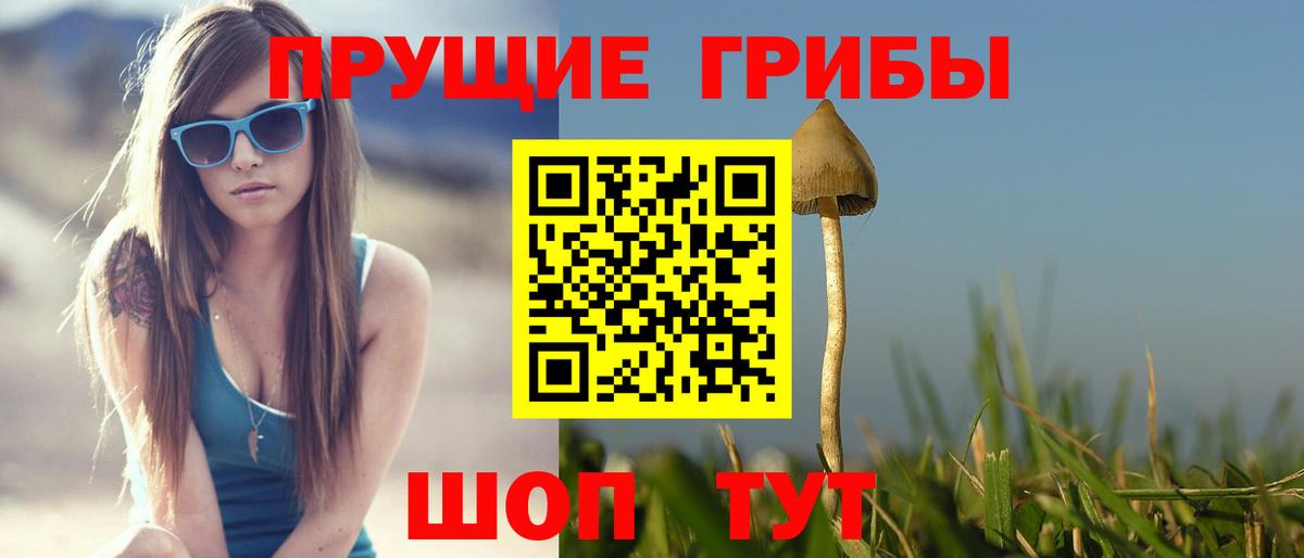 Жигулёвск  Галлюциногенные грибы GOLDEN TEACHER  Вход с VPN 